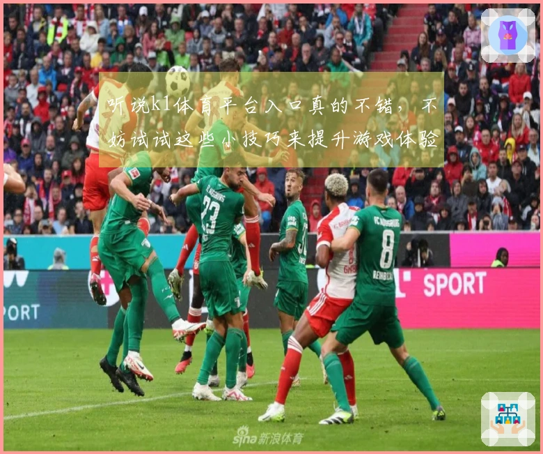 听说k1体育平台入口真的不错，不妨试试这些小技巧来提升游戏体验！