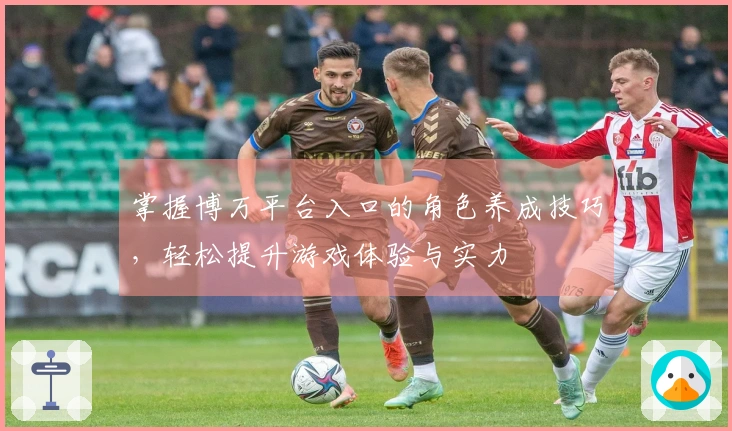 掌握博万平台入口的角色养成技巧，轻松提升游戏体验与实力