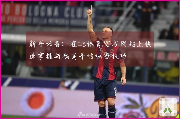 新手必备：在ng体育官方网站上快速掌握游戏高手的秘密技巧
